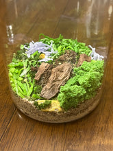 Load image into Gallery viewer, TICKETS: Edible Terrariums at Lux &amp; Ivy JAN 24 4-6p